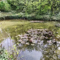 Nature Trails around Dimitrovgrad - Dimitrovgrad