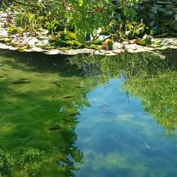 Nature Trails around Dimitrovgrad - Dimitrovgrad