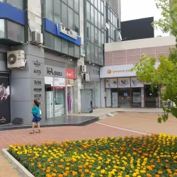 Central Market - Dobrich