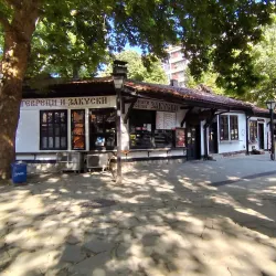 Ethnographic Complex "Dobruja" - Dobrich