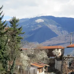 Dupnica Historical Museum - Dupnica