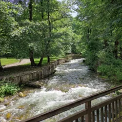 Dupnitsa Central Park - Dupnica