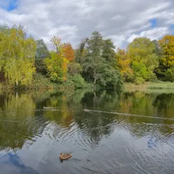 Dupnitsa Central Park - Dupnica