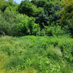 Kamenitsa River - Dupnica