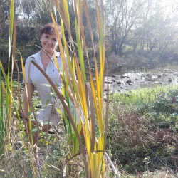 Kamenitsa River - Dupnica