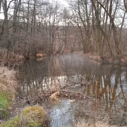 Kamenitsa River - Dupnica
