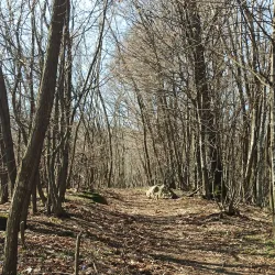 Markov Kamak (Mark's Stone) - Dupnica