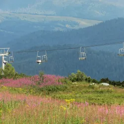 Rila Mountains National Park - Dupnica