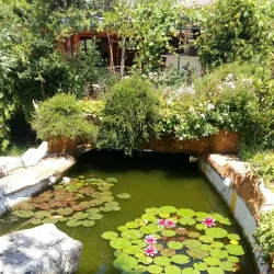 Ethnographic Complex "Strandzha" - Elhovo