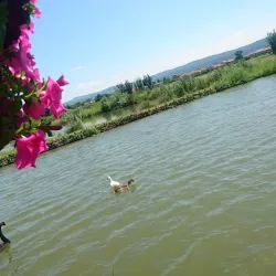 Nearby Village of Lesnovo - Elin Pelin