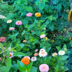 Nearby Village of Lesnovo - Elin Pelin