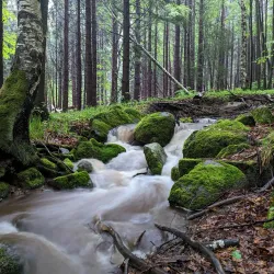 Vitosha Mountain (nearby) - Elin Pelin