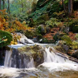 Vitosha Mountain (nearby) - Elin Pelin
