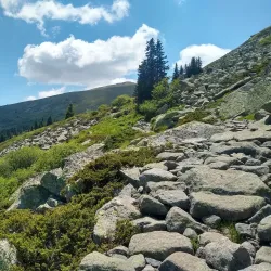 Vitosha Mountain (nearby) - Elin Pelin