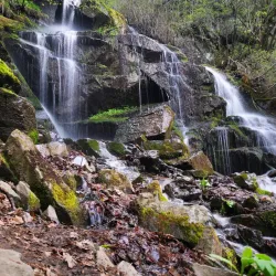 Vitosha Mountain (nearby) - Elin Pelin