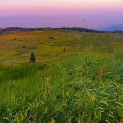 Vitosha Mountain (nearby) - Elin Pelin