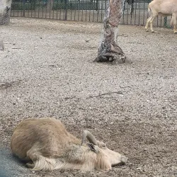 Haskovo Central Park - Haskovo