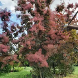 Haskovo Central Park - Haskovo