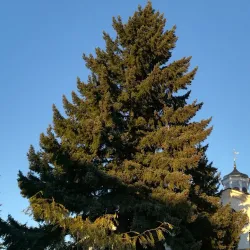 Church of the Holy Mother of God - Karlovo