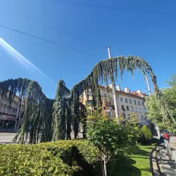 Kazanlak Central Park - Kazanlak