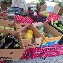 Local Farmers Market - Knezha