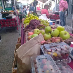 Local Farmers Market - Knezha