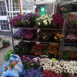 Local Farmers Market - Knezha