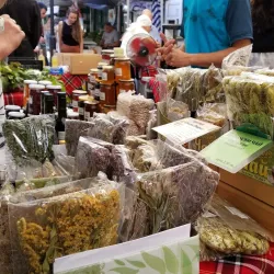 Local Farmers Market - Knezha