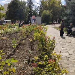 Nearby Danube River - Knezha