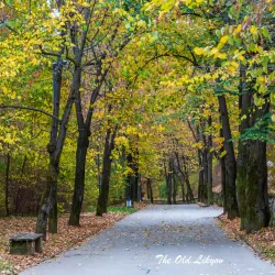 Osam River Park - Lovech