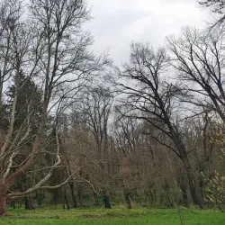 Kaylaka Park - Pleven