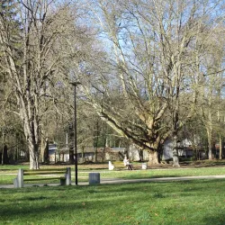 Kaylaka Park - Pleven