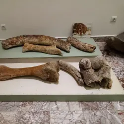 Pomorie Archaeological Museum - Pomorie