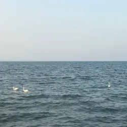 Pomorie Beach - Pomorie