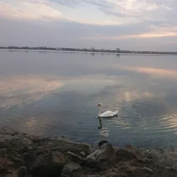 Pomorie Lake - Pomorie