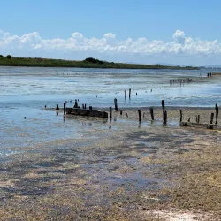 Pomorie Salt Pans - Pomorie