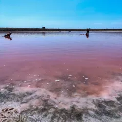 Pomorie Salt Pans - Pomorie