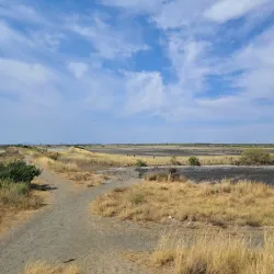 Pomorie Salt Pans - Pomorie
