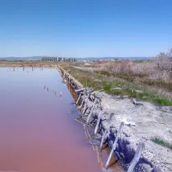 Pomorie Salt Pans - Pomorie