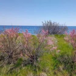 Pomorie Salt Pans - Pomorie