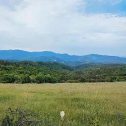 Bulgarka Nature Park - Popovo