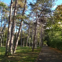 City Park Razgrad - Razgrad