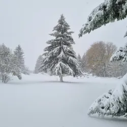 City Park Razgrad - Razgrad