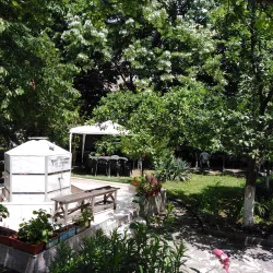 Imaret Mosque - Razgrad