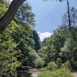Kamenni Mostove (Stone Bridges) - Razgrad