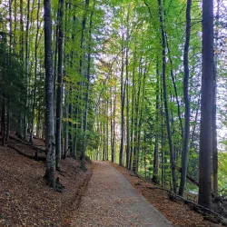 Kamenni Mostove (Stone Bridges) - Razgrad