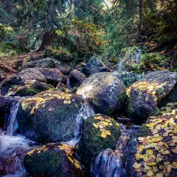 Kamenni Mostove (Stone Bridges) - Razgrad