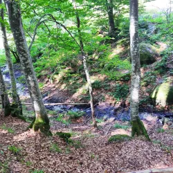 Kamenni Mostove (Stone Bridges) - Razgrad