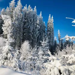 Kamenni Mostove (Stone Bridges) - Razgrad