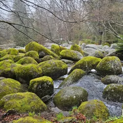 Kamenni Mostove (Stone Bridges) - Razgrad